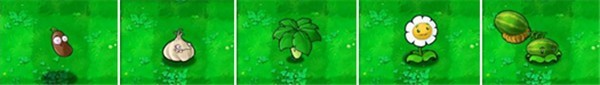 植物大战僵尸繁琐版
