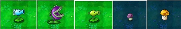 植物大战僵尸繁琐版