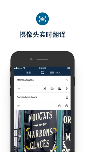Deepl手机版