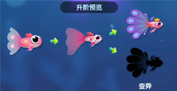 萌鱼泡泡