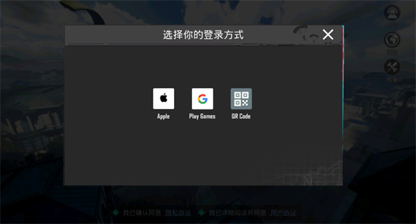 和平精英国际服