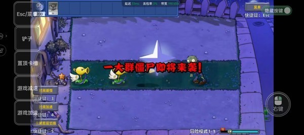 植物大战僵尸星座版
