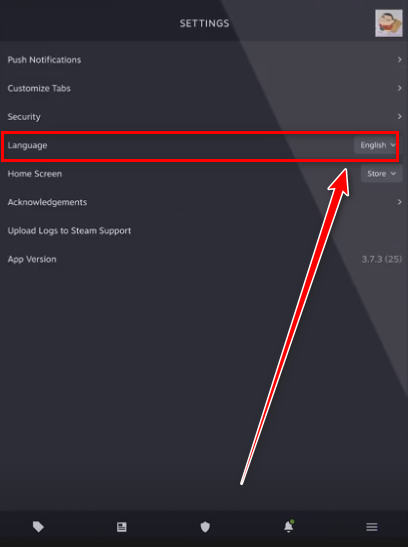 steam2024最新版本