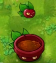 植物大战僵尸融合版3.2.5二创版