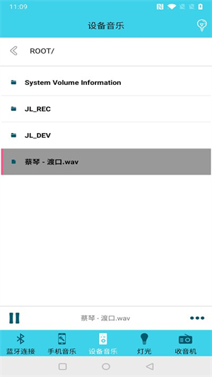 蓝牙伴侣