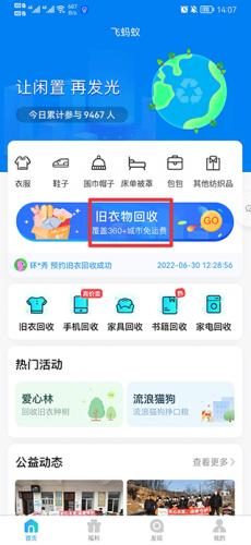 飞蚂蚁