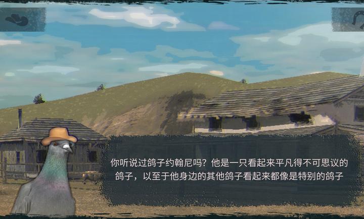 鸽子西部鸽子约翰尼