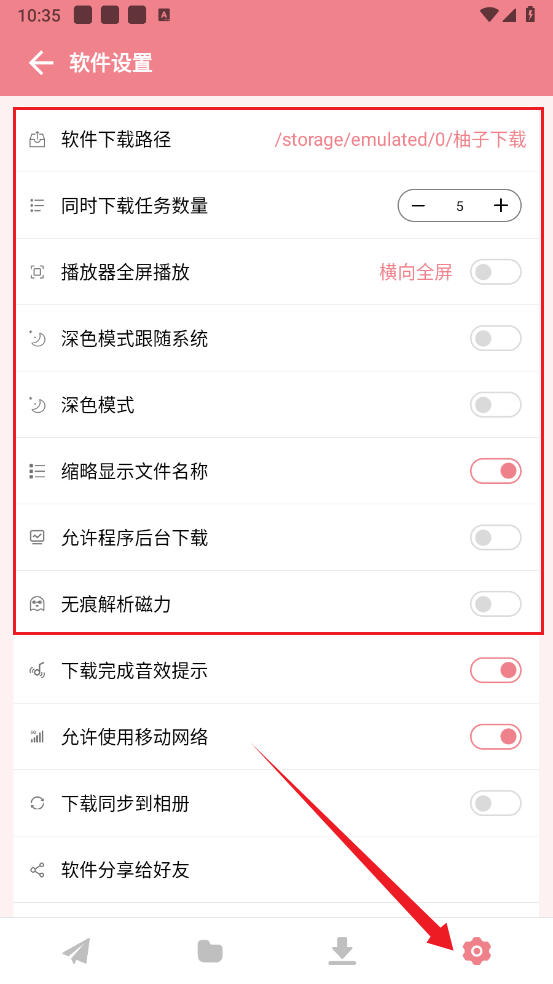 柚子下载器