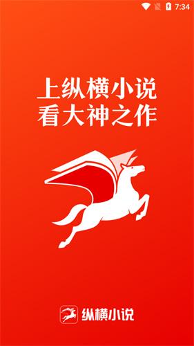纵横小说