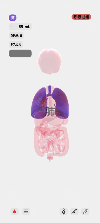 生命life模拟器