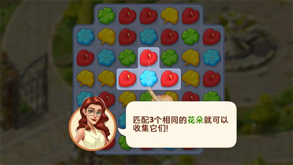 我的花园