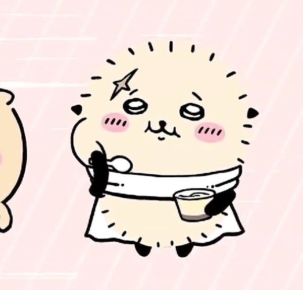 Chiikawa Pocket