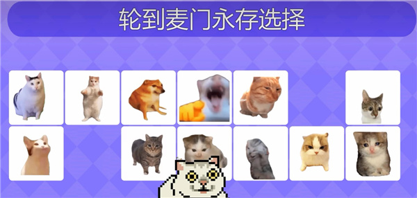 女巫的毒药猫meme版