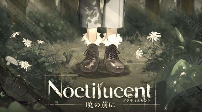 諾提里森於黎明之前