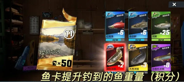 欢乐钓鱼大师正版