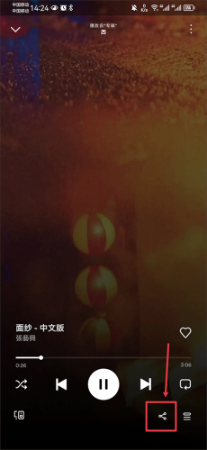 声破天spotify