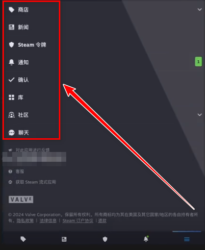 steam2024最新版本
