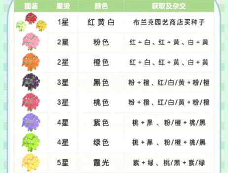 心动小镇手机版