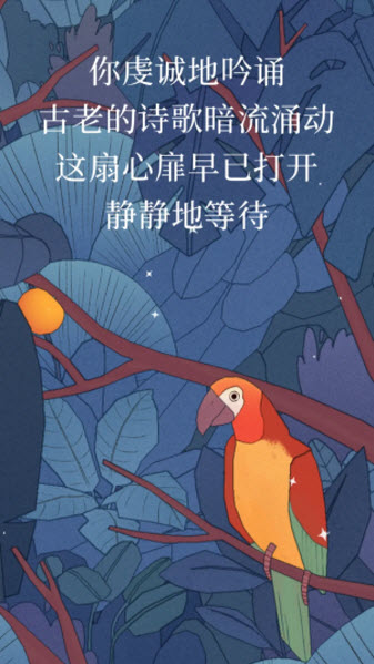 孤独的鸟儿国际服