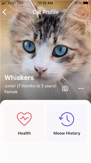 喵说meowtalk