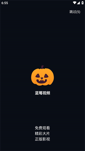 蓝莓视频