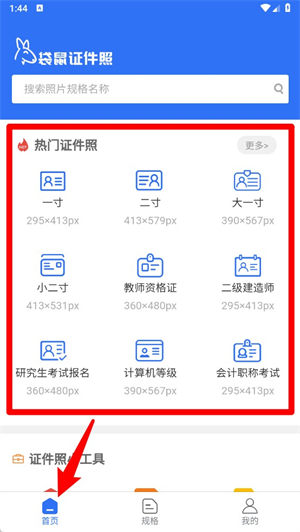 袋鼠证件照