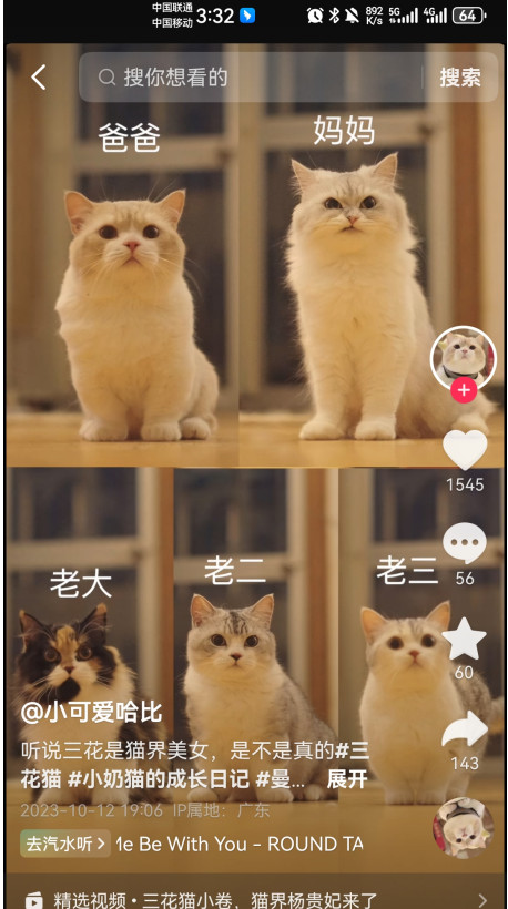 抖音官方版
