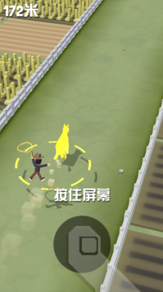 疯狂动物园