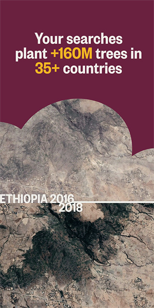 ecosia搜索引擎