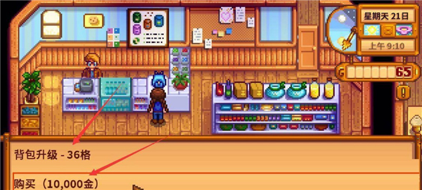 Stardew Valley联机版