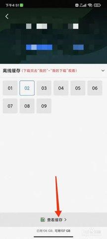 蓝狐视频
