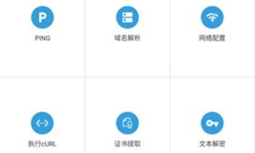HttpCanary高级版