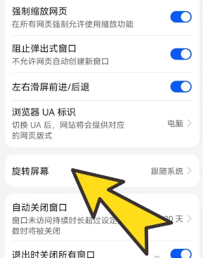 啵啵浏览器蓝色标