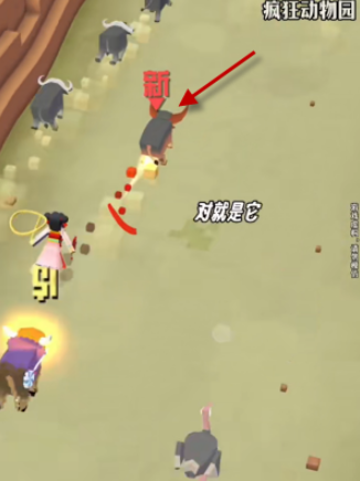 疯狂动物园