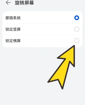 bobo浏览器全球通