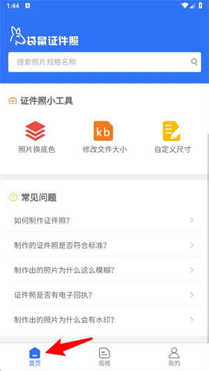 袋鼠证件照
