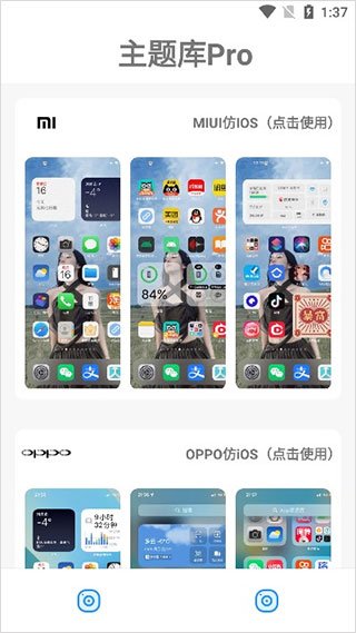 主题库pro中文版