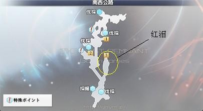 最后的神迹