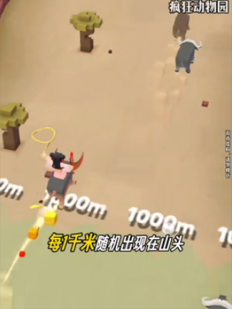 疯狂动物园