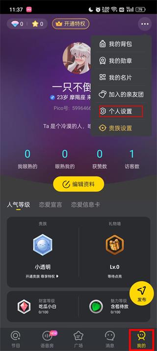 PicoPico手机版