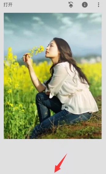 snapseed手机app中文版安装