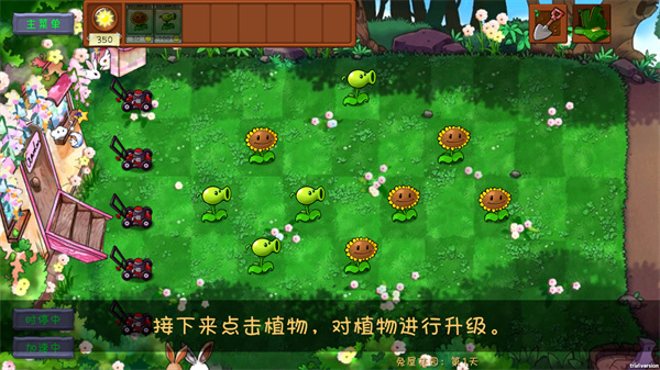 pvz共生版