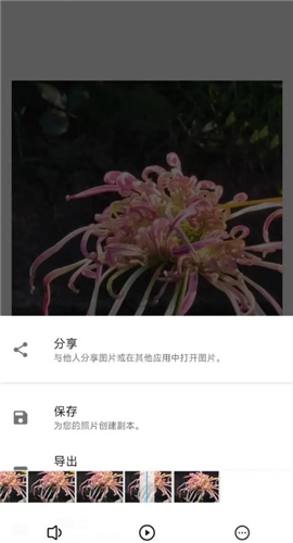 snapseed手机app安装2024
