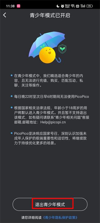 PicoPico手机版