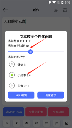 DS文本转图片
