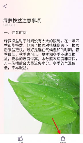 花社区