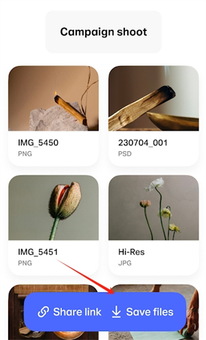 WeTransfer