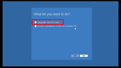 windows11模拟器