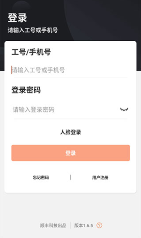 顺丰小哥大陆版