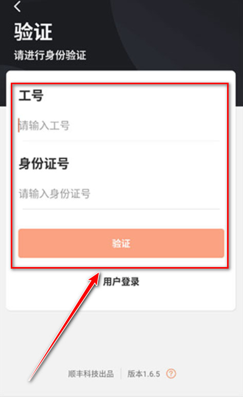 顺丰小哥大陆版